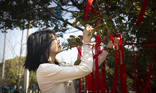 電(diàn)商風(fēng)采