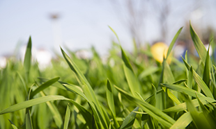 電(diàn)商風(fēng)采